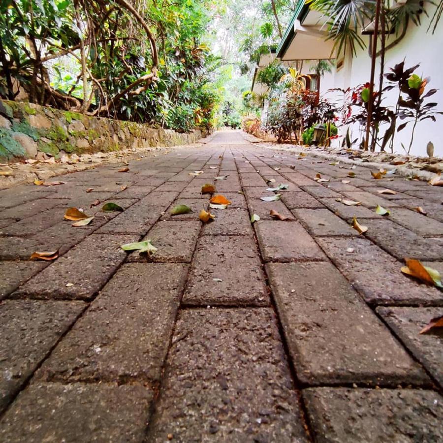 Seethawaka Regency เอวิซซาเวลลา ภายนอก รูปภาพ