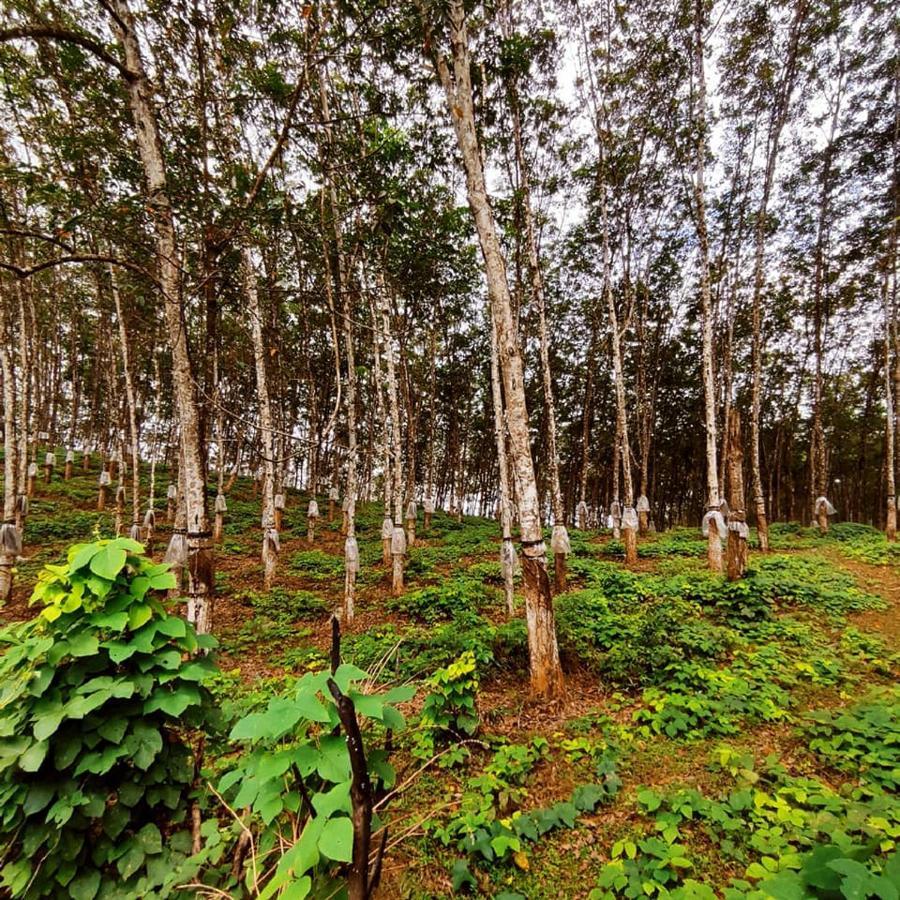 Seethawaka Regency เอวิซซาเวลลา ภายนอก รูปภาพ